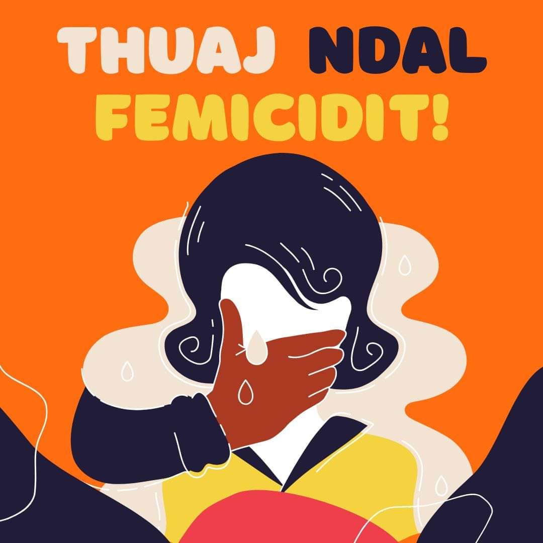 Rekomandime Në Kuadër Të Observatorit Mbi Femicidet.